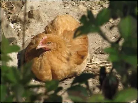 別荘 L'etable D'emile *